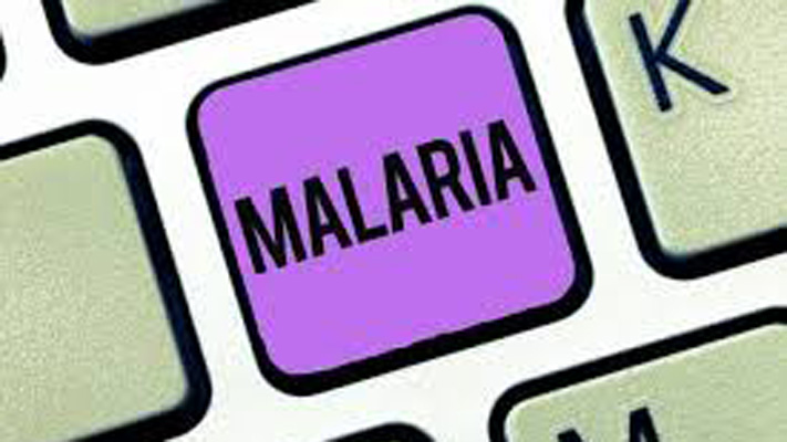 Malaria