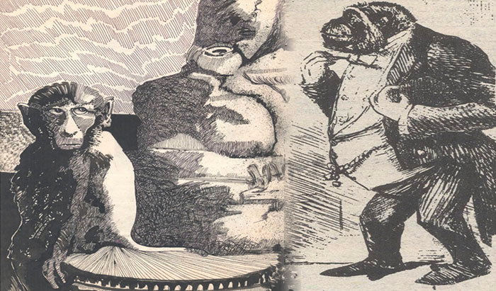 El Yeti y el Origen de Hombre