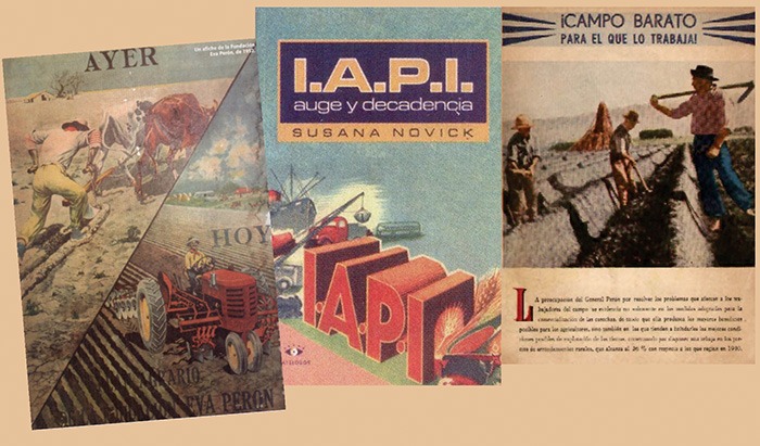 ¿Qué fue el IAPI?