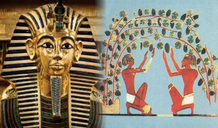 Los Blancos y Tintos del Faraón