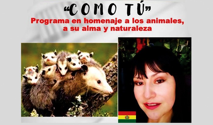 Los Animales y sus Derechos a la Existencia