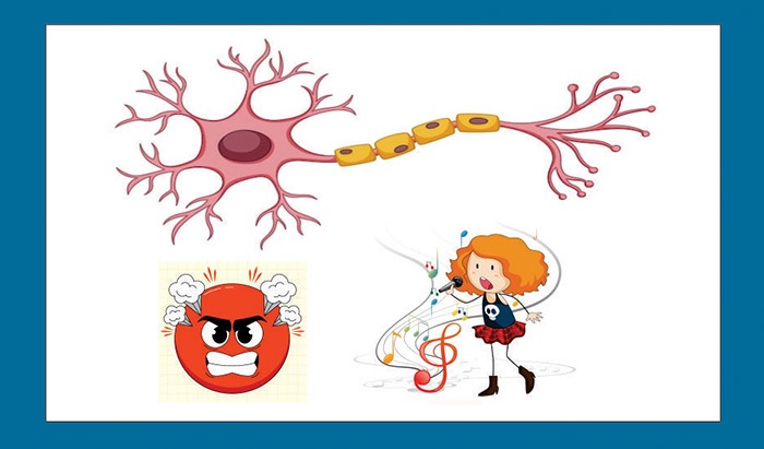 ¿Que son los Neurotransmisores?