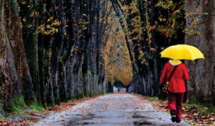 Lluvia Plateada