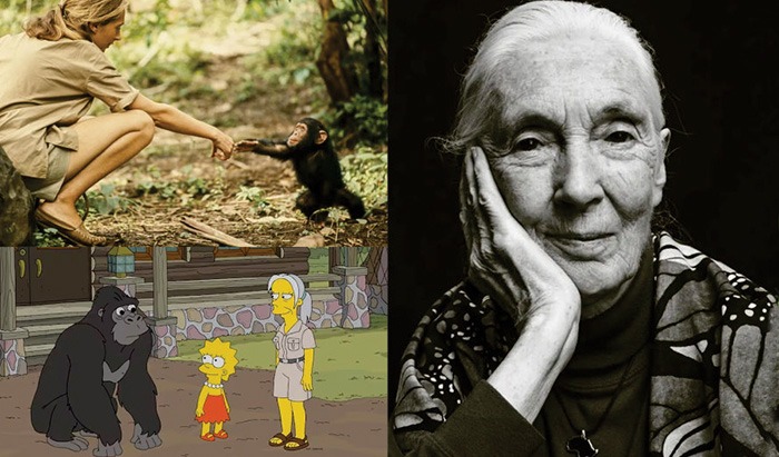 El Legado Eterno de Jane Goodall