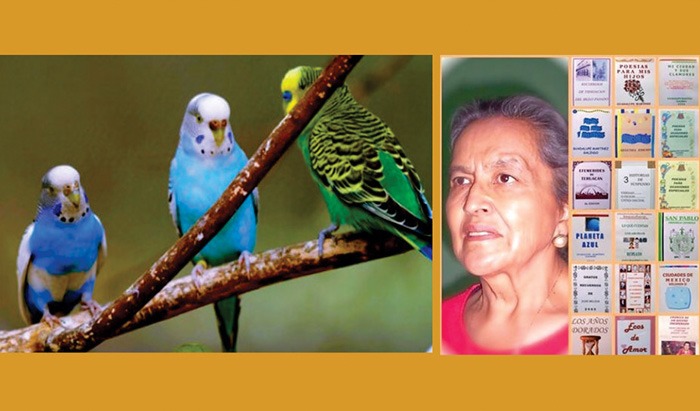 El Periquito Distinguido