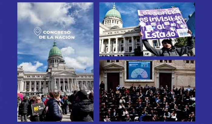 La Necesidad de Personas con Discapacidad en el Congreso