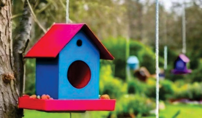 Ecoarte: la Estética de la Conciencia Ambiental