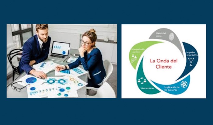 Experiencia del Cliente y Rentabilidad