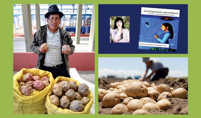 La Papa, un Regalo de Bolivia al Mundo