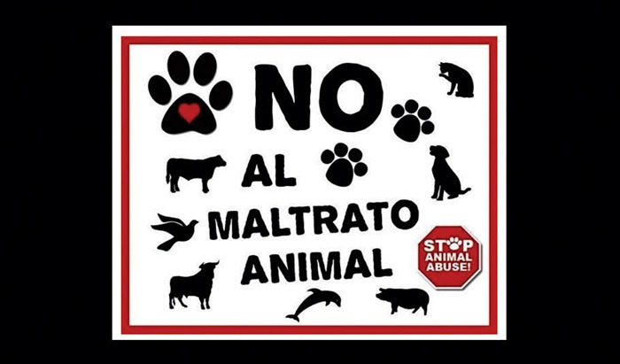 ¡No al Maltrato Animal!