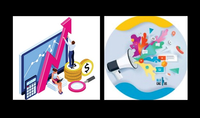 Importancia de los Pronósticos Financieros